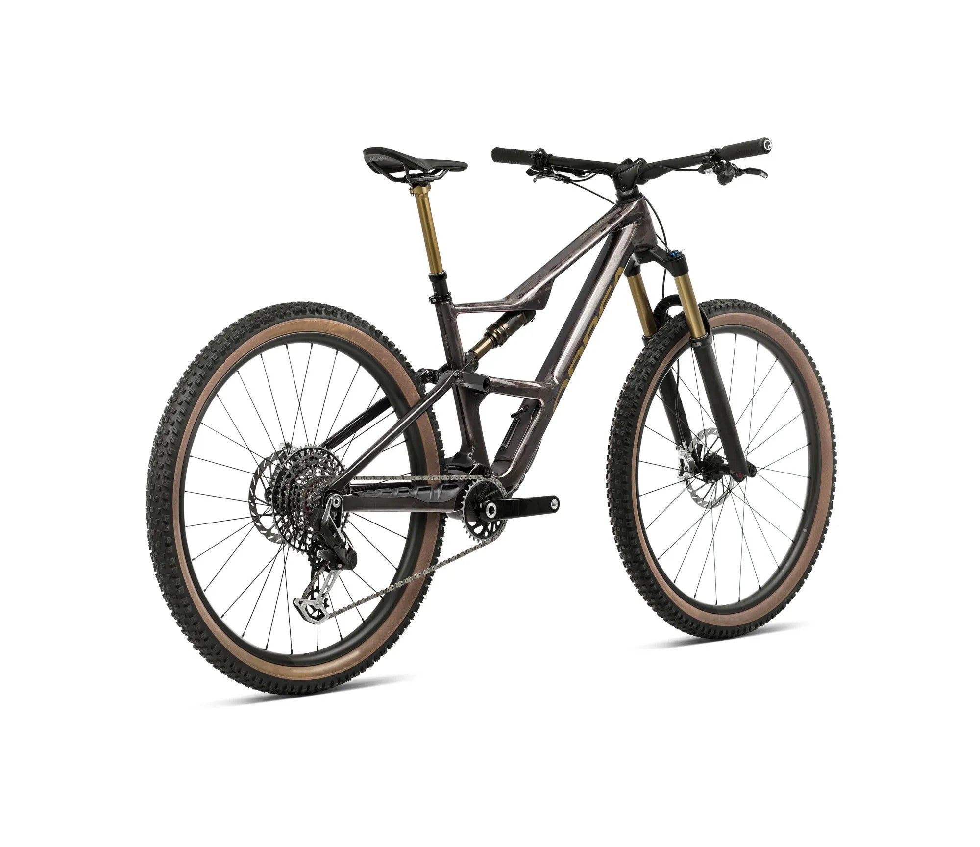 R268TTCC-P5-BACK-OCCAM_SL_MLTD