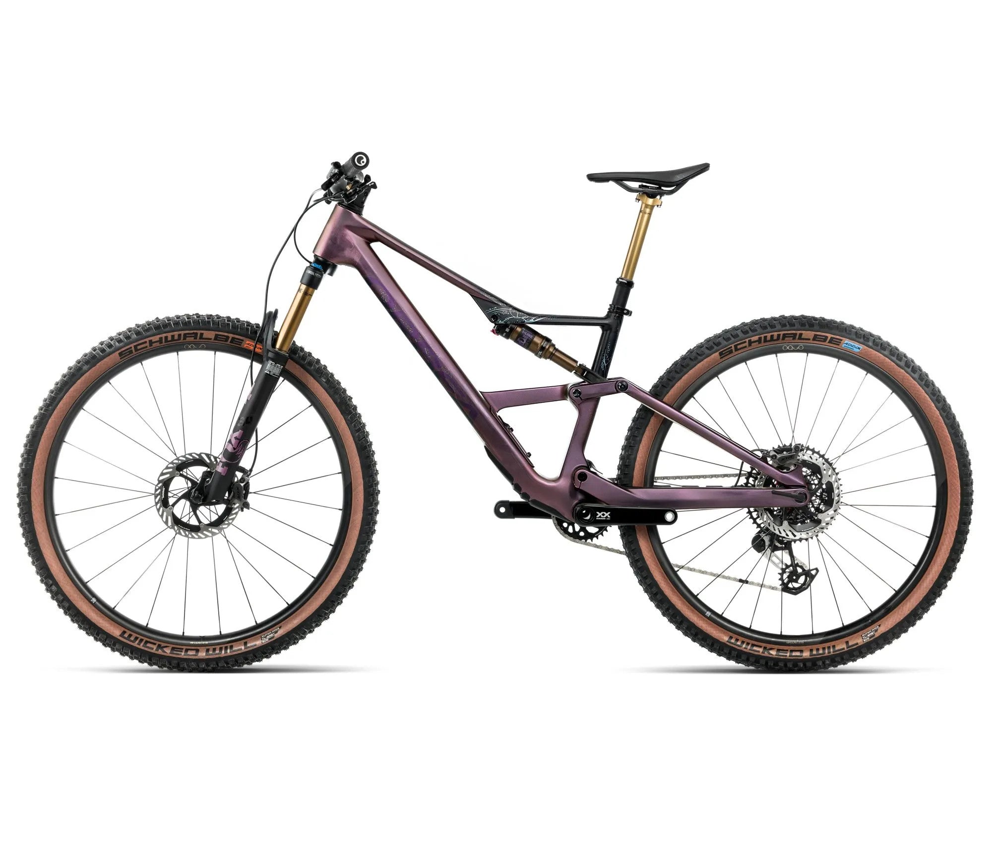 T242TTCC-M3-SIDE2-OCCAM_SL_MLTD