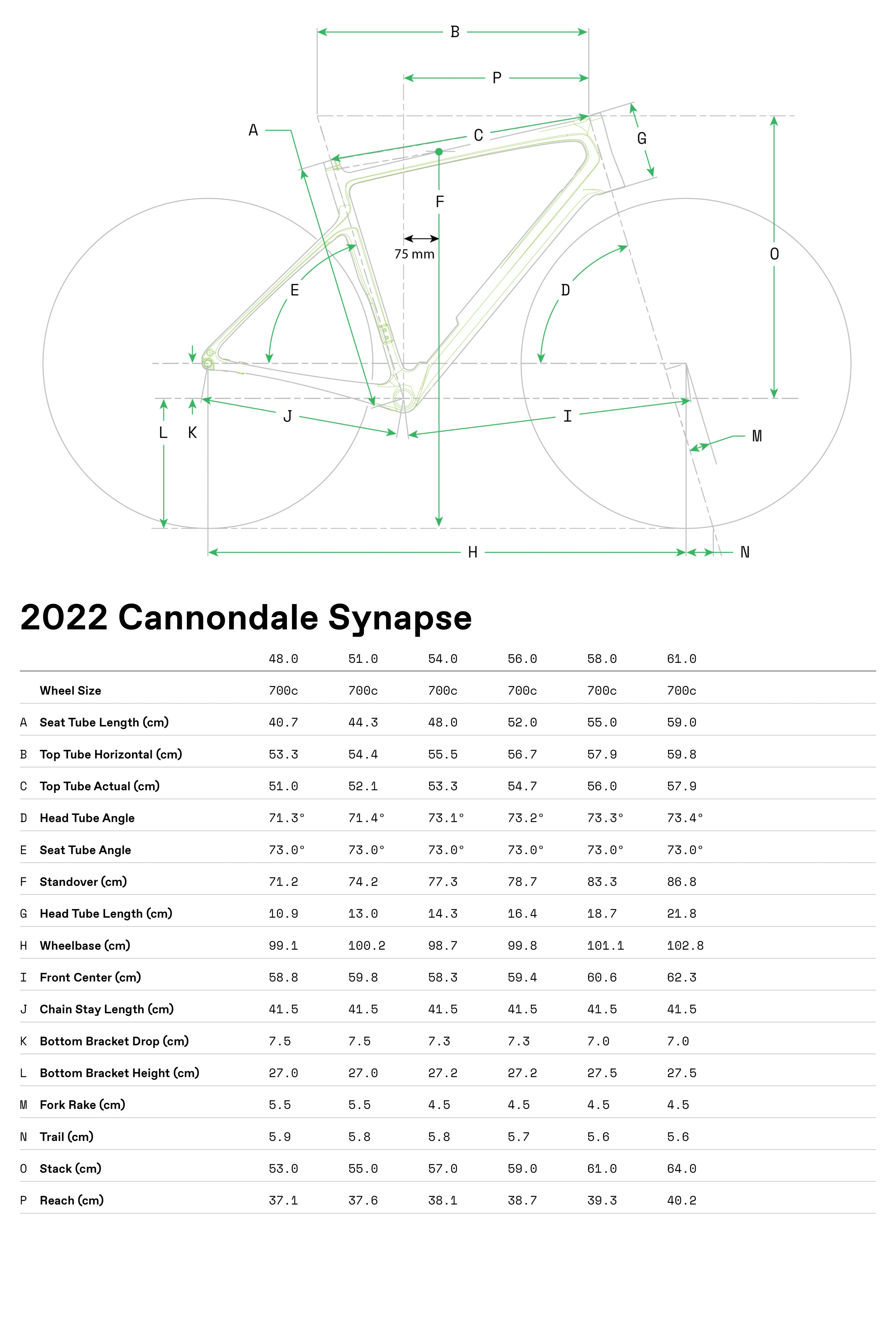 Bicicletas Carretera Synapse Carbon 2 RLE Cannondale 2024 Grey #8