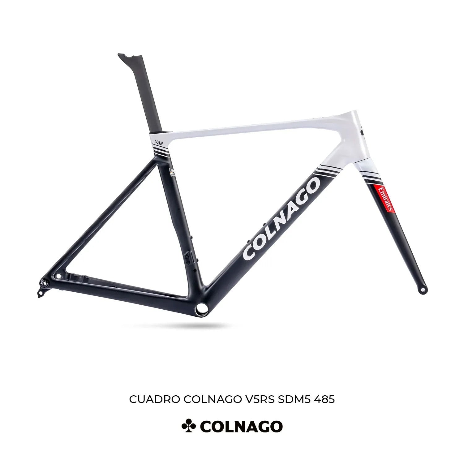 cuadro-colnago-v5rs