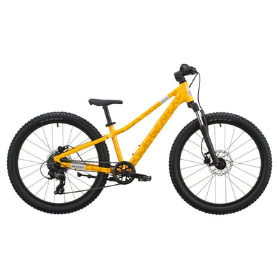 Scott Roxter 400 2027 Sunny Yellow #2