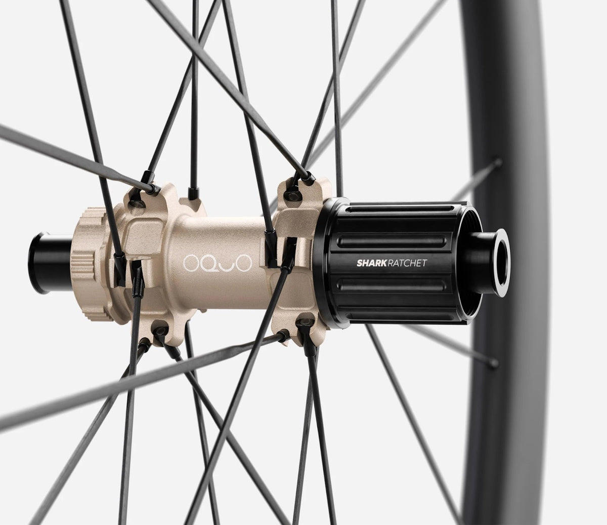 O1900093