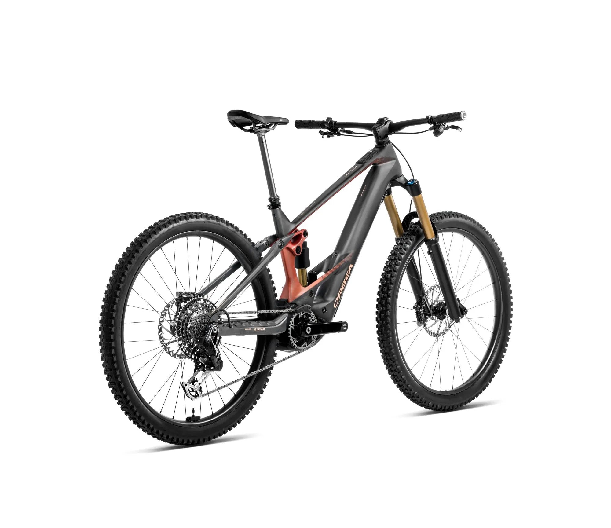 S349TTCC-X1-BACK-WILD_MLTD