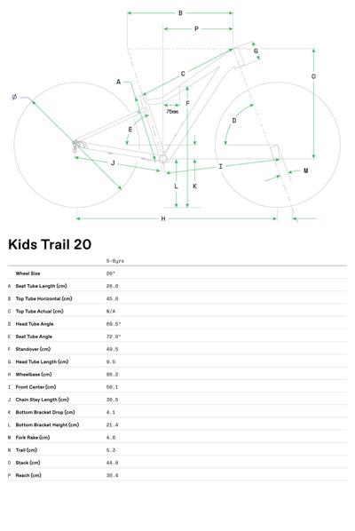 Cannondale Kids Trail 20 2026 Silver #7